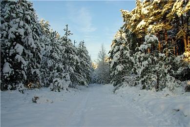 《咩咩启示录》大型更新即将推出 更多内容正在计划中