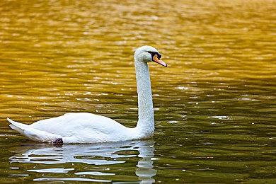 《沙丘：觉醒》PC配置公布 推荐RTX 3070显卡