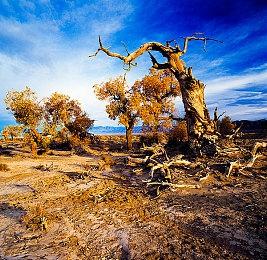 《真三国无双：起源》刘备阵营介绍 关羽张飞赵云上阵