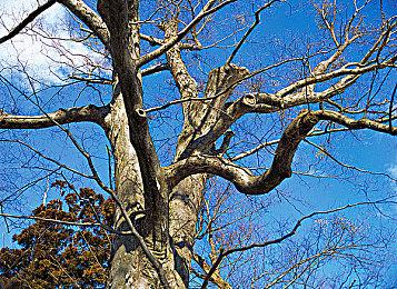 《完蛋！我被美女包围了》新花絮 女主们的沙滩派对