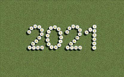 任天堂公布Switch 2小细节 方便寻找乱放的手柄